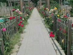 -月河湾马术俱乐部(朝阳店)