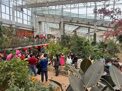 -沈阳植物园