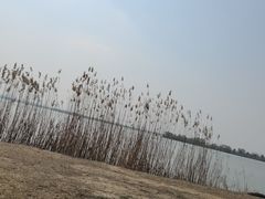 -漕湖湿地公园