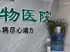 -半岛宠物医院24小时(白果林店)
