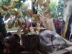 -咖法森林·咖啡  酒吧(天河店)