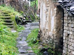 -石台牯牛降景区