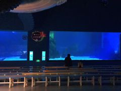 -常州海昌海洋探索馆
