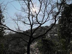 -鹫峰国家森林公园