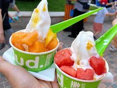 -Salud撒露欧洲冻酸奶(蓝色港湾店)