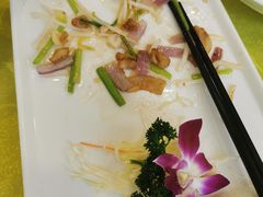 小炒藕尖-姚林轩