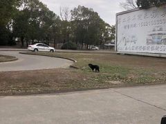 -胜华驾校·小猫学车(银都店)