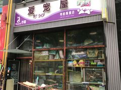 -爱宠屋pet shop·宠物洗澡·宠物美容