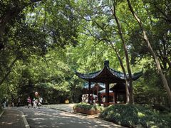 -赭山公园