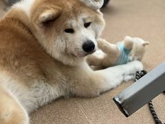 -YCHL Studios健身工作室(市二宫店)