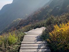 -白草畔自然风景区