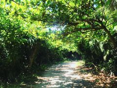 -龙坑生态保护区