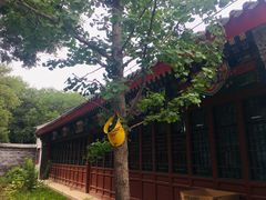 -北京第二实验小学