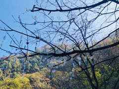 -少华山国家森林公园