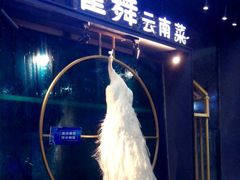 -雀舞云南菜(乐客城店)
