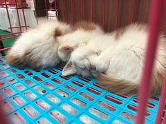 -方恒购物中心(望京小街店)