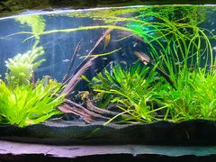 -上海海洋水族馆