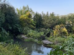 -腾冲洞山温泉村