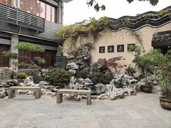 -富春茶社(国庆路店)