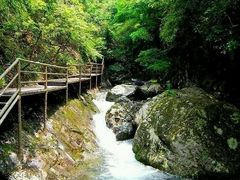 -东天目山风景区