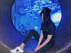 -成都浩海立方海洋公园