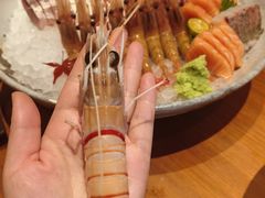 -月龍吟(朝龙汇店)