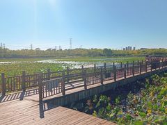 -天津东丽湖风景区