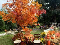 -HERRE·FARM 赫尔露营农场·团建聚会包场