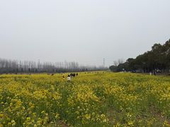 -崔岗艺术村