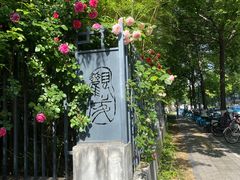 -杭州观成实验学校