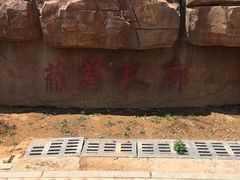 -北京张裕爱斐堡酒庄