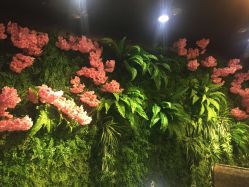 点击看大图 -藤野造型·专业烫染店