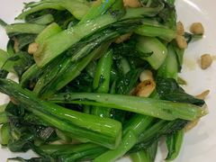 生炒菜心-权记避风塘(鸿记店)