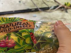 -上海大自然野生昆虫馆(东方明珠·爬宠昆虫探索中心)