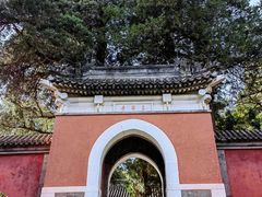 -香山公园