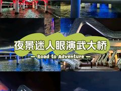 -演武大桥观景平台