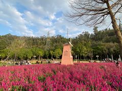 -顺峰山公园