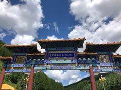 -塞罕坝国家级自然保护区