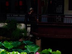 -上海醉白池公园