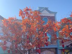 -沈阳方特欢乐世界