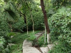 -北极阁公园
