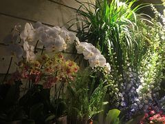 -春暖花开(西溪店)