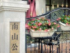 -子霖南山鲜虾面(南山总店)