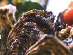 -上海和平饭店-华懋阁 The Cathay Room