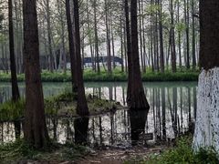 -西溪国家湿地公园