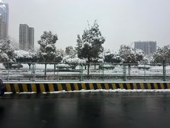 -虾小龙老长沙龙虾馆(坡子街店)