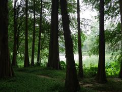 -华南国家植物园-售票处