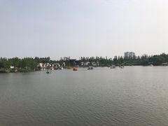 -上海长兴岛郊野公园