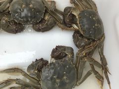 -谭家菜农夫山庄