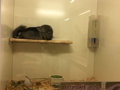 -龙猫仔乐园(惠福东路店)